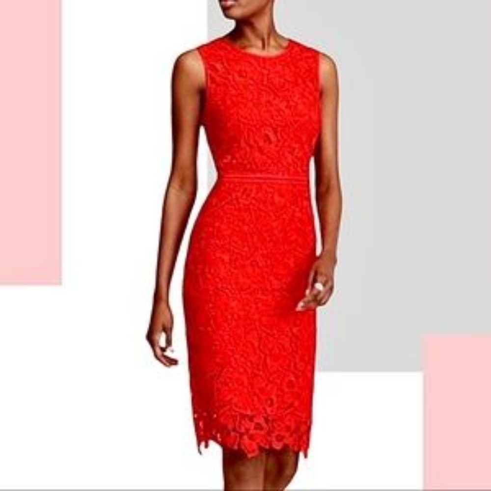 Holiday Ann Taylor Lace Dress
